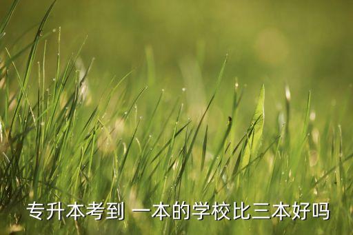  專升本考到 一本的學校比三本好嗎