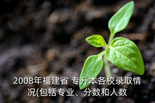 2008年福建省 專升本各校錄取情況(包括專業(yè)、分數(shù)和人數(shù)