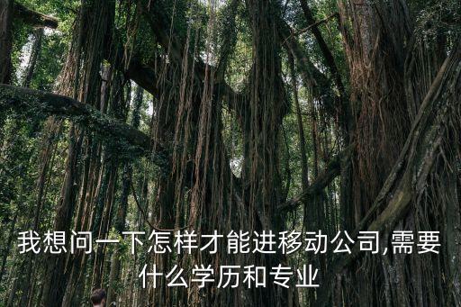 我想問一下怎樣才能進(jìn)移動公司,需要什么學(xué)歷和專業(yè)