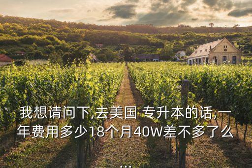 我想請(qǐng)問下,去美國(guó) 專升本的話,一年費(fèi)用多少18個(gè)月40W差不多了么...