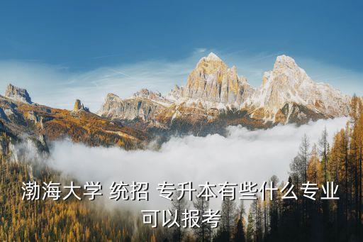 渤海大學(xué) 統(tǒng)招 專升本有些什么專業(yè)可以報考