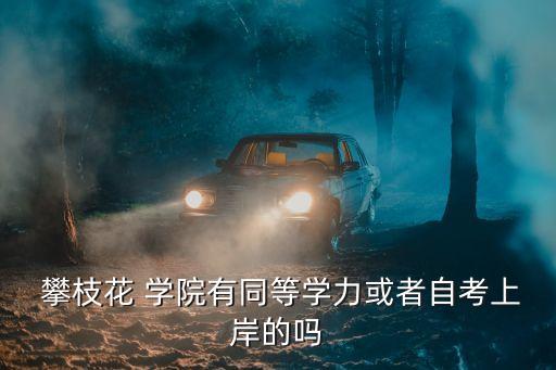  攀枝花 學(xué)院有同等學(xué)力或者自考上岸的嗎