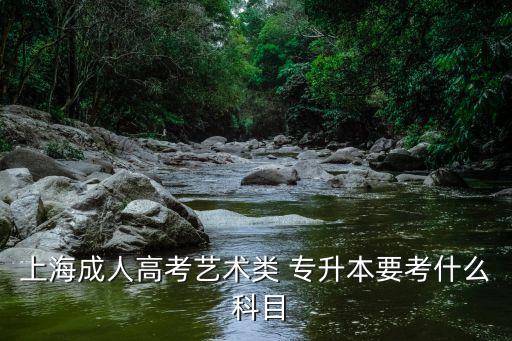 上海成人高考藝術(shù)類 專升本要考什么 科目