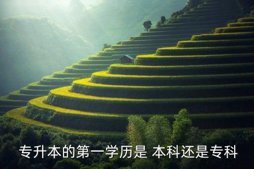  專升本的第一學(xué)歷是 本科還是?？? class=