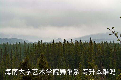 海南大學(xué)藝術(shù)學(xué)院舞蹈系 專(zhuān)升本難嗎