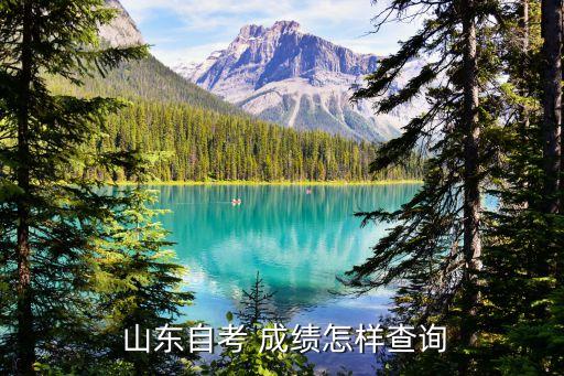  山東自考 成績(jī)?cè)鯓硬樵?xún)