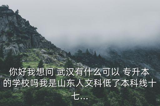 你好我想問 武漢有什么可以 專升本的學校嗎我是山東人文科低了本科線十七...