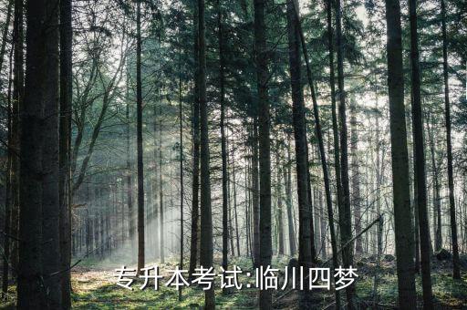  專(zhuān)升本考試:臨川四夢(mèng)