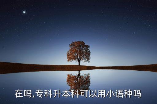 在嗎,?？粕究瓶梢杂眯≌Z種嗎