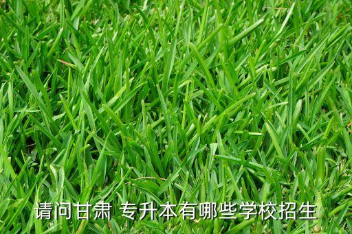 天水師范專(zhuān)升本輔導(dǎo)班
