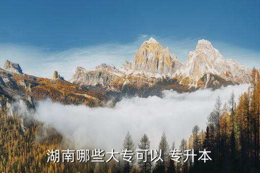 湖南哪些大?？梢?專升本
