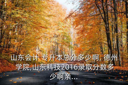 山東會(huì)計(jì) 專(zhuān)升本總分多少啊, 德州 學(xué)院,山東科技2016錄取分?jǐn)?shù)多少啊親...