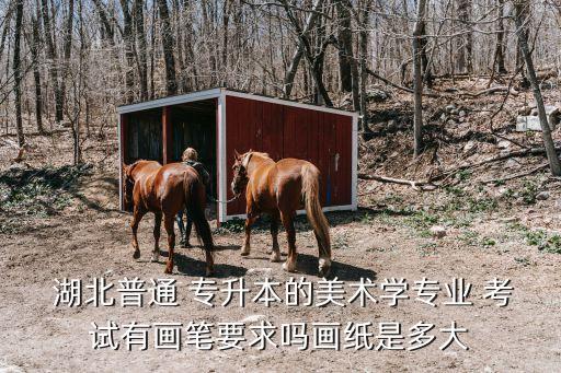 湖北師范學院文理學院專升本考試