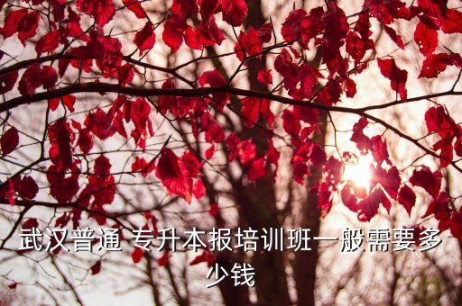 武漢普通 專升本報培訓(xùn)班一般需要多少錢