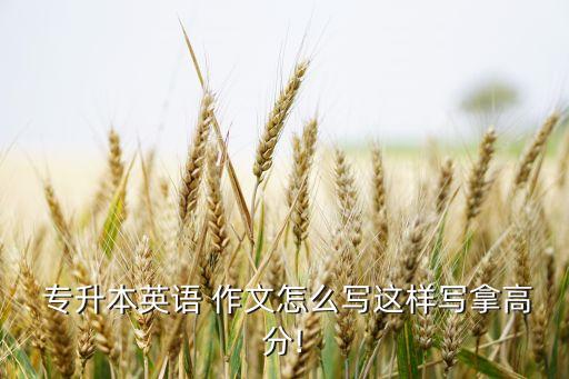 專升本作文常用語(yǔ),作文批注和點(diǎn)評(píng)常用語(yǔ)