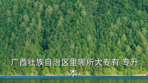  廣西壯族自治區(qū)里哪所大專有 專升本