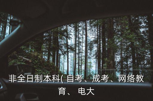 非全日制本科( 自考、成考、網(wǎng)絡教育、 電大