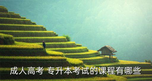 成人高考 專(zhuān)升本考試的課程有哪些