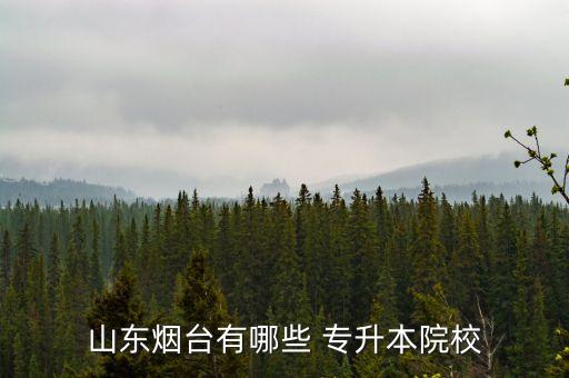 蘭州大學網(wǎng)絡(luò)教育專升本