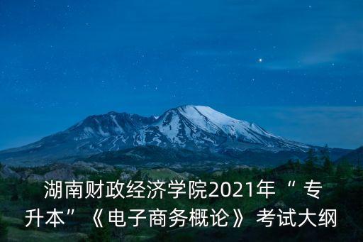  湖南財(cái)政經(jīng)濟(jì)學(xué)院2021年“ 專升本”《電子商務(wù)概論》 考試大綱