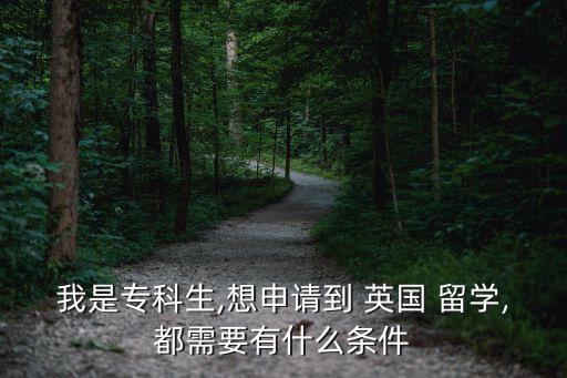 我是?？粕?想申請到 英國 留學,都需要有什么條件