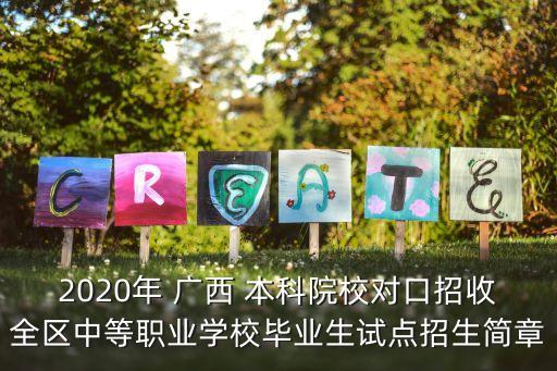 2020年 廣西 本科院校對口招收全區(qū)中等職業(yè)學(xué)校畢業(yè)生試點招生簡章