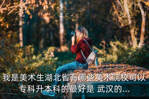 我是美術(shù)生湖北省有哪些美術(shù)院?？梢詫？粕究频淖詈檬?武漢的...