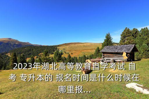 2023年湖北高等教育自學(xué)考試 自考 專升本的 報名時間是什么時候在哪里報...