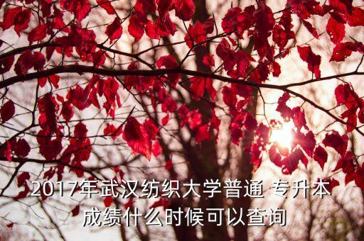 2017年武漢紡織大學(xué)普通 專升本 成績什么時候可以查詢