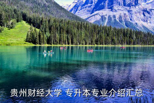 貴州財經(jīng)大學 專升本專業(yè)介紹匯總