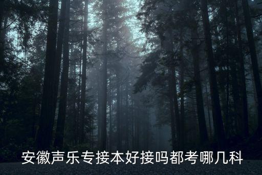 安徽音樂專升本班,安徽藝術(shù)學(xué)院音樂表演專升本