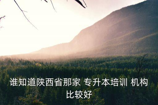 誰知道陜西省那家 專升本培訓(xùn) 機(jī)構(gòu)比較好