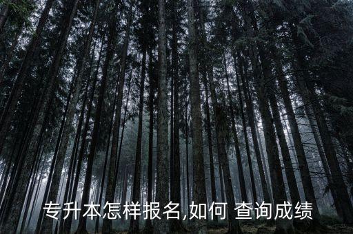 專升本自考準考證查詢,自考專升本準考證號碼忘記了怎么辦