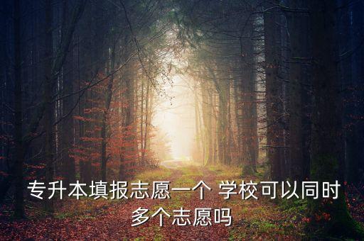 2014安徽專升本同時報考兩個學校嗎