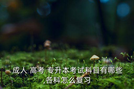  成人 高考 專升本考試科目有哪些,各科怎么復習