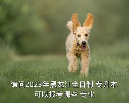 請(qǐng)問2023年黑龍江全日制 專升本可以報(bào)考哪些 專業(yè)