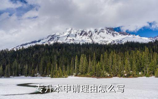 在校專升本申請書,專升本個人申請書
