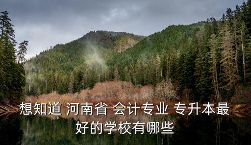 想知道 河南省 會(huì)計(jì)專業(yè) 專升本最好的學(xué)校有哪些