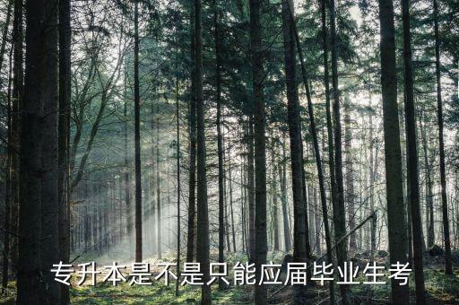  專升本是不是只能應(yīng)屆畢業(yè)生考
