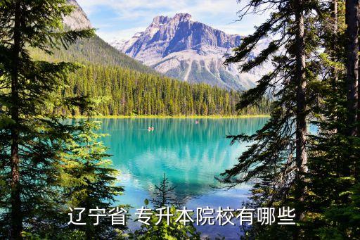 遼寧工業(yè)大學(xué)專(zhuān)升本
