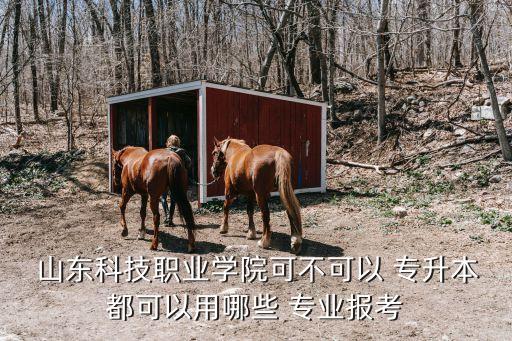  山東科技職業(yè)學院可不可以 專升本都可以用哪些 專業(yè)報考