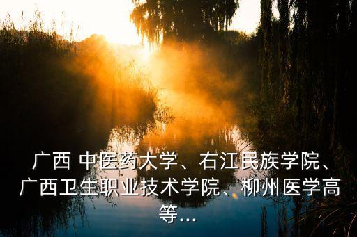  廣西 中醫(yī)藥大學(xué)、右江民族學(xué)院、 廣西衛(wèi)生職業(yè)技術(shù)學(xué)院、柳州醫(yī)學(xué)高等...