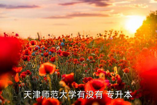 天津師范大學有沒有 專升本