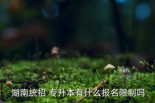 湖南專(zhuān)升本不能
