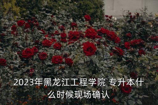 2023年黑龍江工程學(xué)院 專升本什么時候現(xiàn)場確認(rèn)