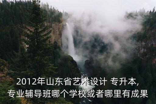 2012年山東省藝術(shù)設(shè)計(jì) 專升本,專業(yè)輔導(dǎo)班哪個(gè)學(xué)校或者哪里有成果