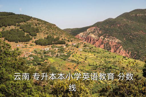  云南 專升本本小學(xué)英語教育 分?jǐn)?shù)線