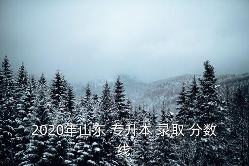 2020年山東 專升本 錄取 分?jǐn)?shù)線