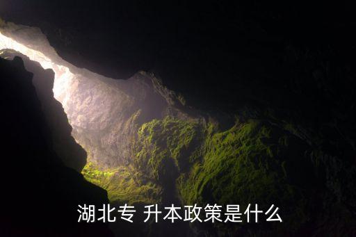 湖北普高專升本簡(jiǎn)章,湖北第二師范學(xué)院專升本簡(jiǎn)章