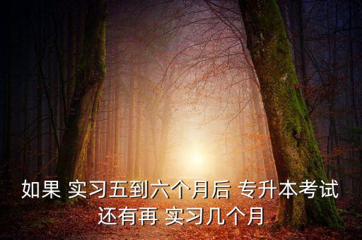 專(zhuān)升本還要實(shí)習(xí)嗎,不是應(yīng)屆畢業(yè)生可以專(zhuān)升本嗎